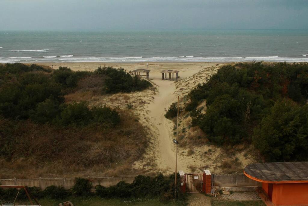 Apartmán House On The Beach Calambrone Exteriér fotografie